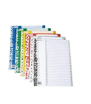 INDICE GRAFOPLAS PP NUM.Fº ps.1-31 GRIS