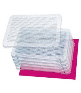 JUEGO MINILAND PEGS PLACAS S/6