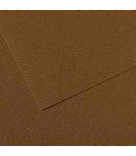 LAMINA MI-TEINTES 50x65 PAQ.10h (501)