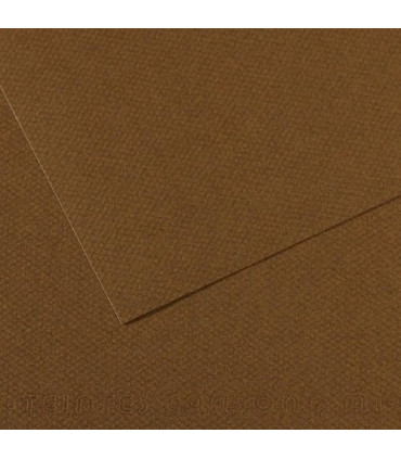 LAMINA MI-TEINTES 50x65 PAQ.10h (501)