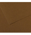 LAMINA MI-TEINTES 50x65 PAQ.10h (501)