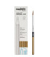 LAPICES COLOR CARIOCA PLUS CAJA 12 ORO