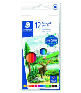 LAPICES COLOR STAEDT.146 D.JOURNEY C/12