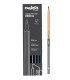 LAPICES GRAFITO CARIOCA PLUS B C/12
