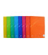 LIBRETA OLEF PP A5+ 48h CD.4 90g COL.(8)