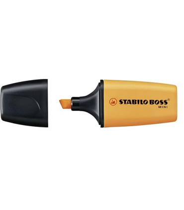 ROTUL.FLUOR BOSS MINI NARANJA