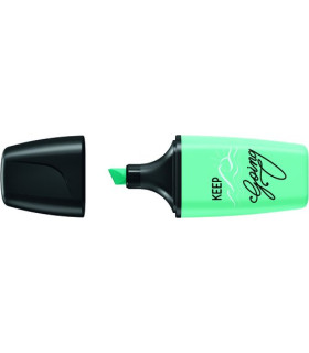 ROTUL.FLUOR BOSS MINI PAST. MELOCOTON