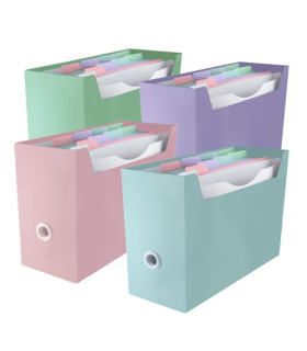ORGANIZADOR CARP. BLUSH SURT.4 COL