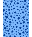 PAPEL REGALO BOBINA BK.31x80 T.AÑO