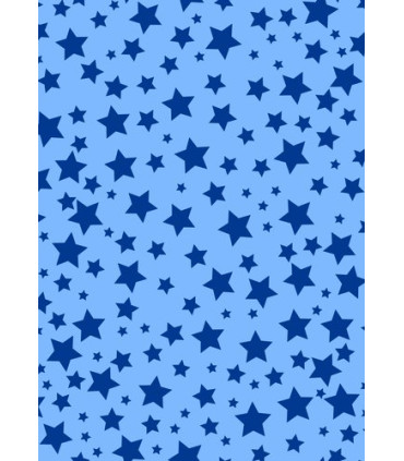 PAPEL REGALO BOBINA BK.62x80 T.AÑO