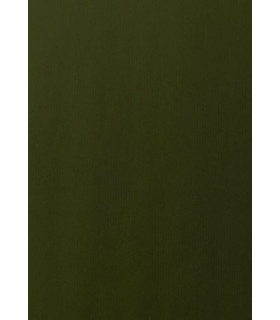 PAPEL REGALO BOBINA TV 70x100 KRAFT VERD