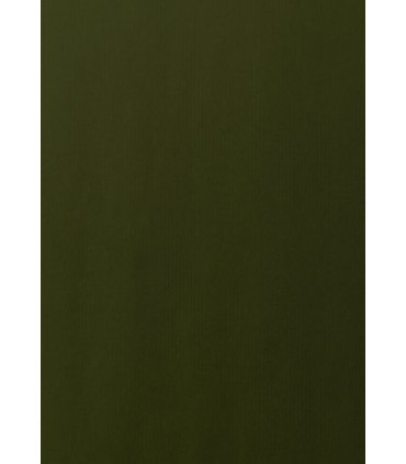 PAPEL REGALO BOBINA TV 70x100 KRAFT VERD