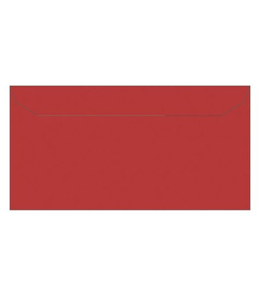 PAQ.10 SOBRES APLI 110x220 120g ROJO