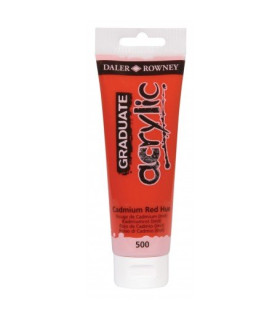 PINTURA DALER ROWNEY GRADUATE 120ml RJ C