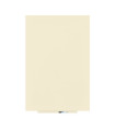 PIZARRA ROCADA SKINWHITEBOARD 100x150 AM