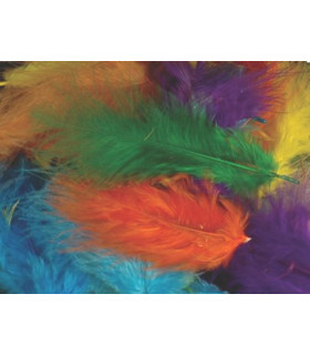 PLUMAS COLLAGE NIEFENVER BOLSA 120 UD