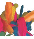 PLUMAS INDIO NIEFENVER BOLSA DE 50 UD