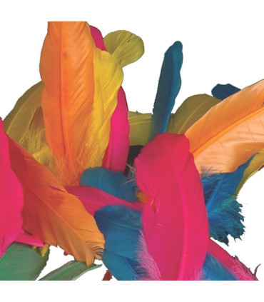 PLUMAS INDIO NIEFENVER BOLSA DE 50 UD