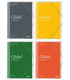 QUADERN PROFESSOR ADDITIO CARP. GLOBAL