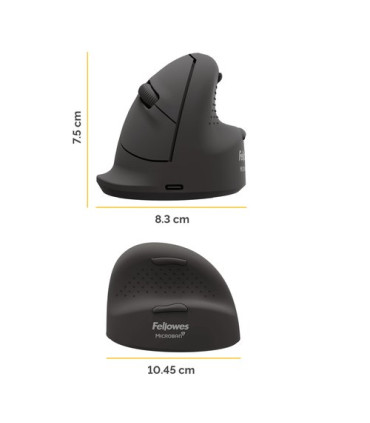 RATON FELLOWES VERTICAL BREYTA M DIESTRO