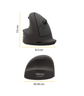 RATON FELLOWES VERTICAL BREYTA M ZURDO
