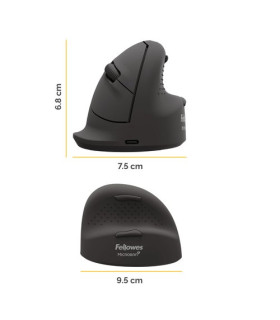 RATON FELLOWES VERTICAL BREYTA S DIESTRO