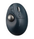 RATON KENSINGTON TRACKBALL PROFIT TB550