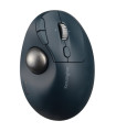 RATON KENSINGTON TRACKBALL PROFIT TB550