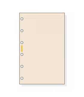 RECAM.AG.F. C243 CLASSIC 602 LISO 50h CR