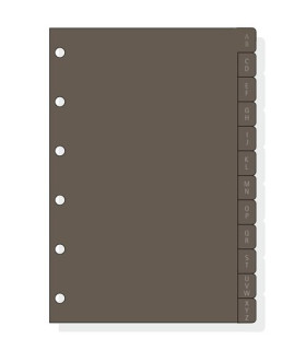 RECAM.AG.F. C261 CLASSIC 602 INDICE PLAS