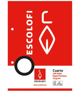 RECAMBIO ESCOLOFI A4 100h 2 TAL. MM.3x3x