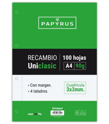 RECAMBIO PAPYRUS A4 100h 4 TAL.CD.3 C/M