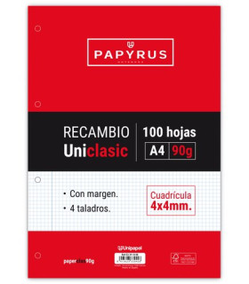 RECAMBIO PAPYRUS A4 100h 4 TAL.CD.4 C/M