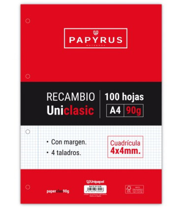RECAMBIO PAPYRUS A4 100h 4 TAL.CD.4 C/M