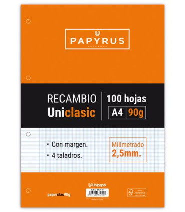 RECAMBIO PAPYRUS A4 100h 4 TAL.MM C/M