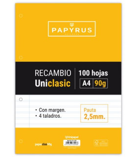 RECAMBIO PAPYRUS A4 100h 4 TAL.P2.5 C/M