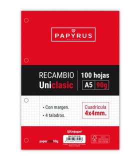 RECAMBIO PAPYRUS A5 100h 4 TAL.CD.4 C/M