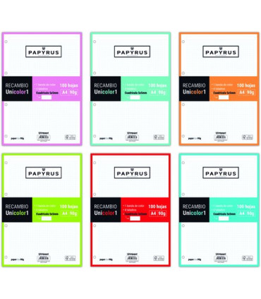 RECAMBIO PAPYRUS A4 100h 4 TAL.CD.5 SUR