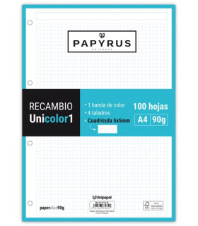 RECAMBIO PAPYRUS A4 100h 4 TAL.CD.5 TUR
