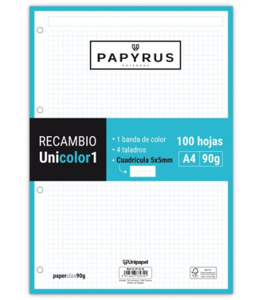 RECAMBIO PAPYRUS A4 100h 4 TAL.CD.5 TUR