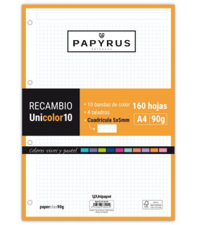 RECAMBIO PAPYRUS A4 160h 4 TAL.CD.5