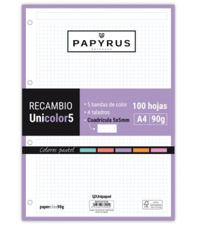 RECAMBIO PAPYRUS A4 100h 4 TAL.CD.5 PAS