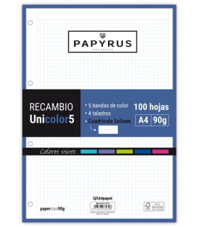 RECAMBIO PAPYRUS A4 100h 4 TAL.CD.5 VIV
