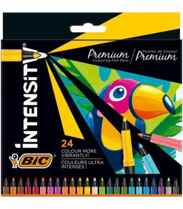 ROTUL.BIC INTENSITY PREMIUM B/24