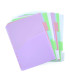 SEPARADORES COLORLINE PP BLUSH A4 10 ps