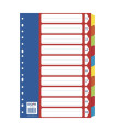 SEPARADORES DOHE CARTON COLORES Fº 10 ps