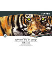 SET LYRA REMBRANDT POLYCOLOR+ART EST.30