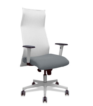 SILLON PIQUERAS SAHUCO DIREC. B.GRIS