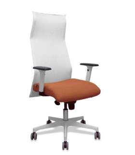 SILLON PIQUERAS SAHUCO DIREC. B.MARRON