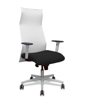 SILLON PIQUERAS SAHUCO DIREC. B.NEGRO